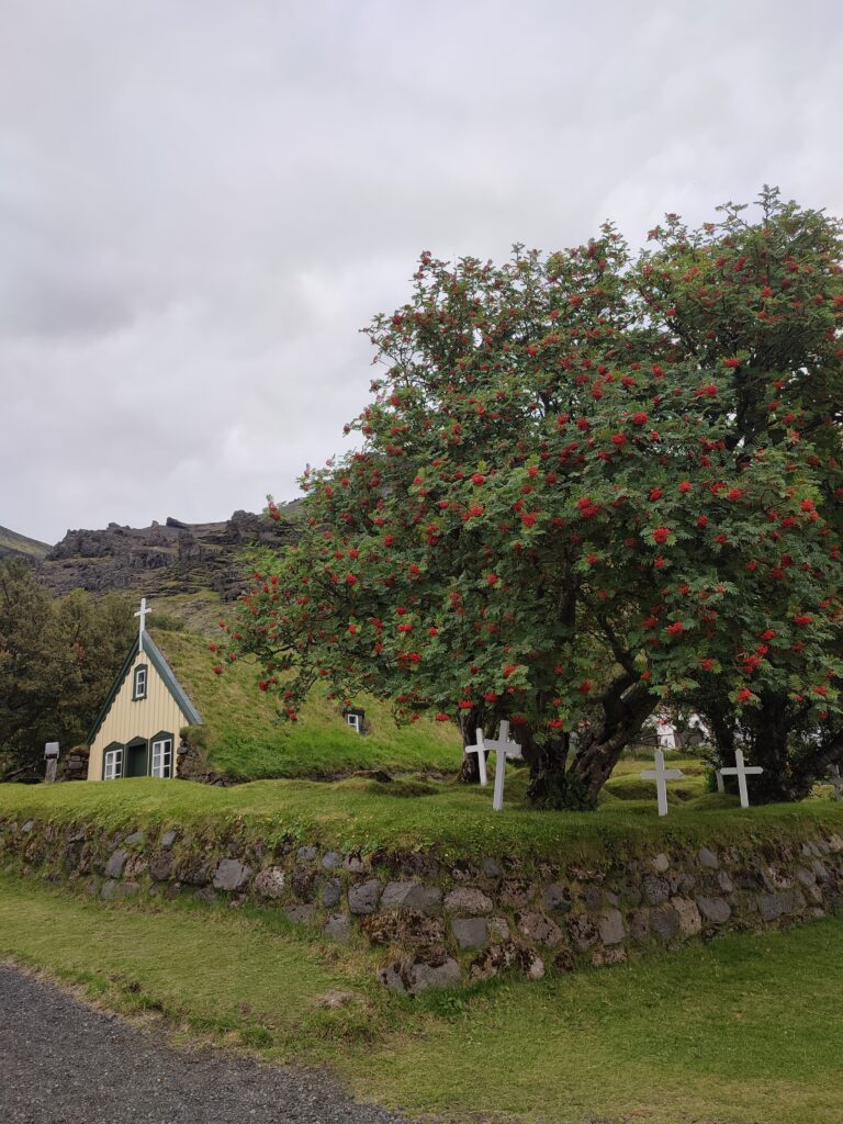 Qué ver en el sur de Islandia: Hofskirkja