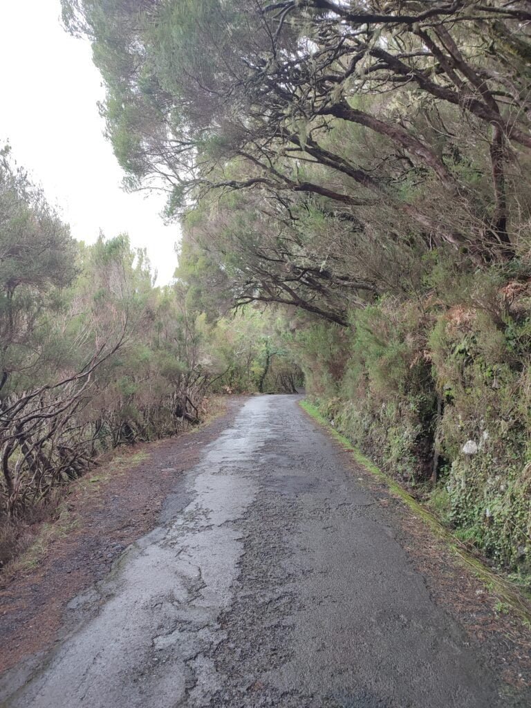 Levada 25 fontes y levada Do Risco, Madeira