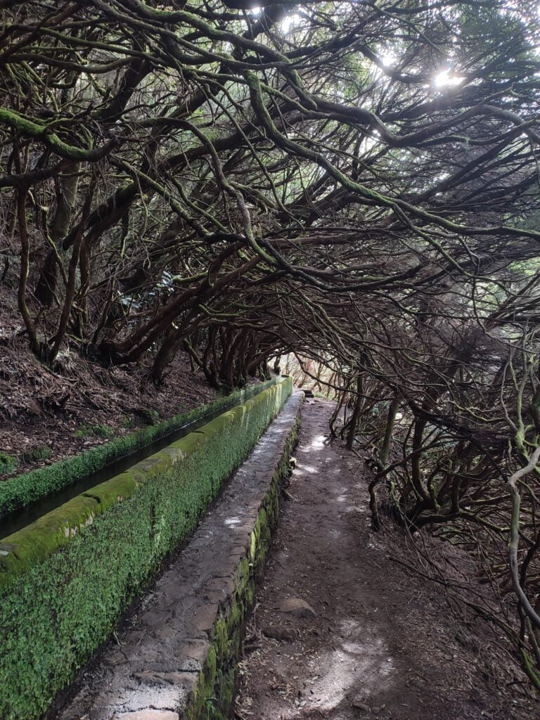 Qué ver en Madeira en 7 días: Levadas en Madeira