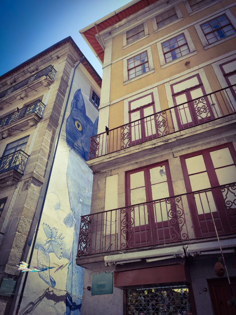 Qué ver en Oporto en 2 días, calle de las flores