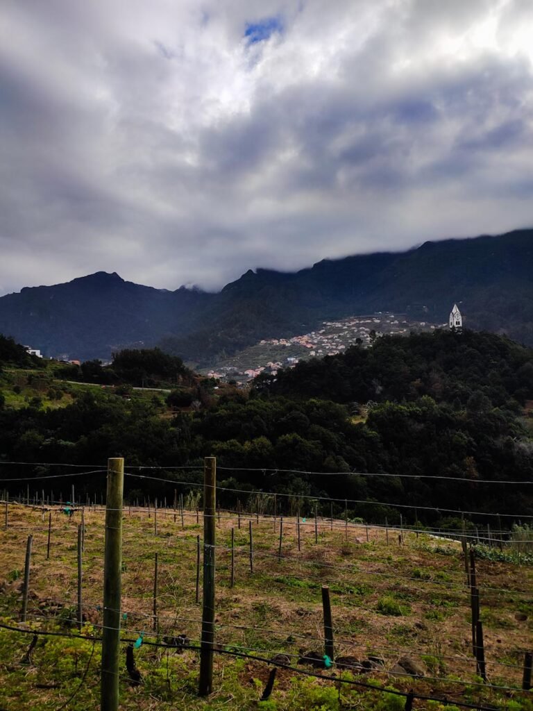 bodegas en Madeira