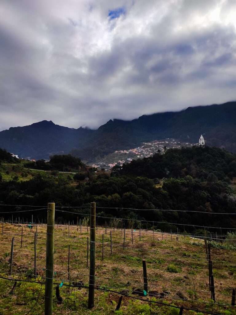 Qué ver en Madeira en 7 días: bodegas en Madeira