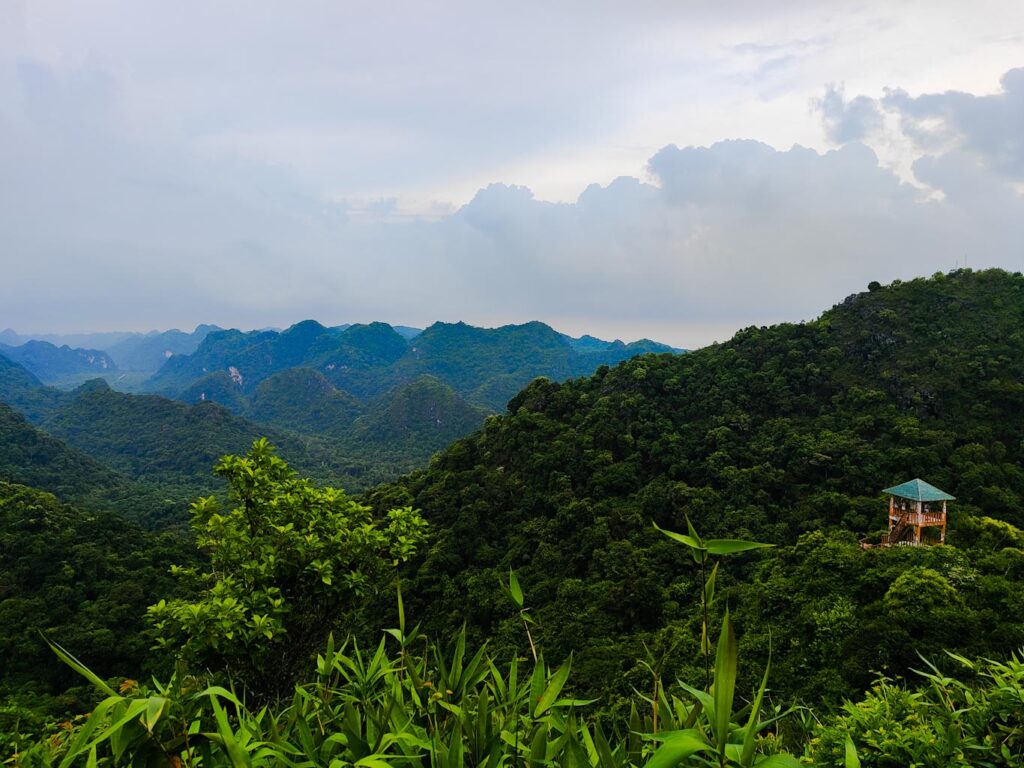 Vietnam en 20 días: Qué ver en Cat ba