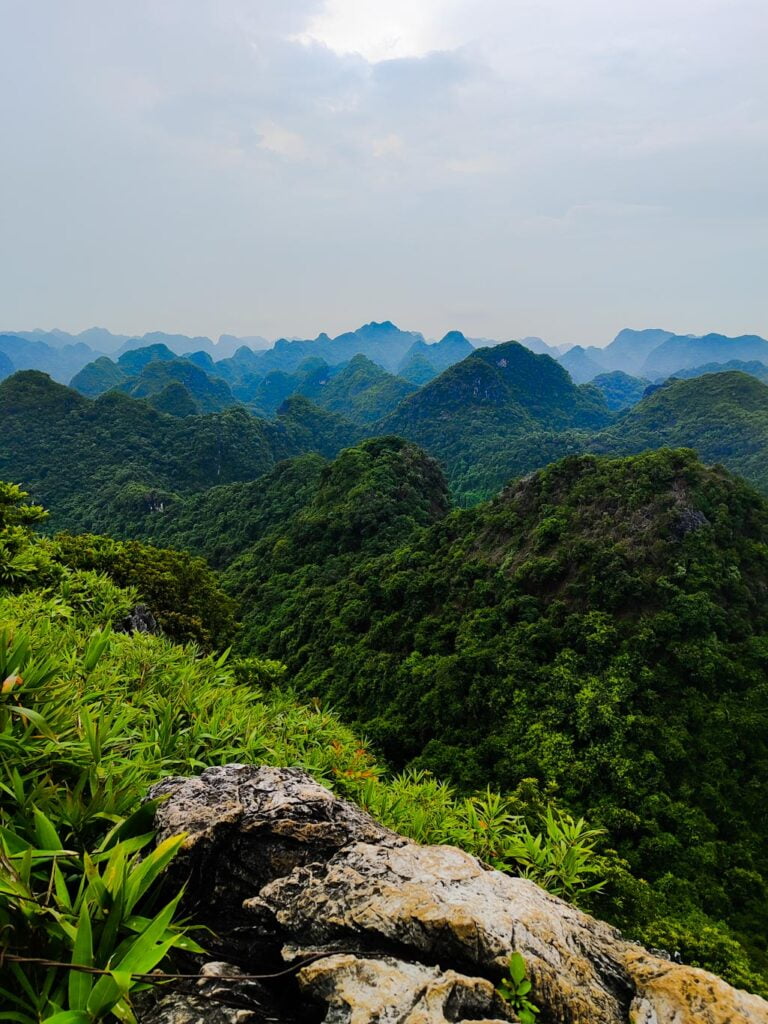 Vietnam en 20 días: Qué ver en Cat ba