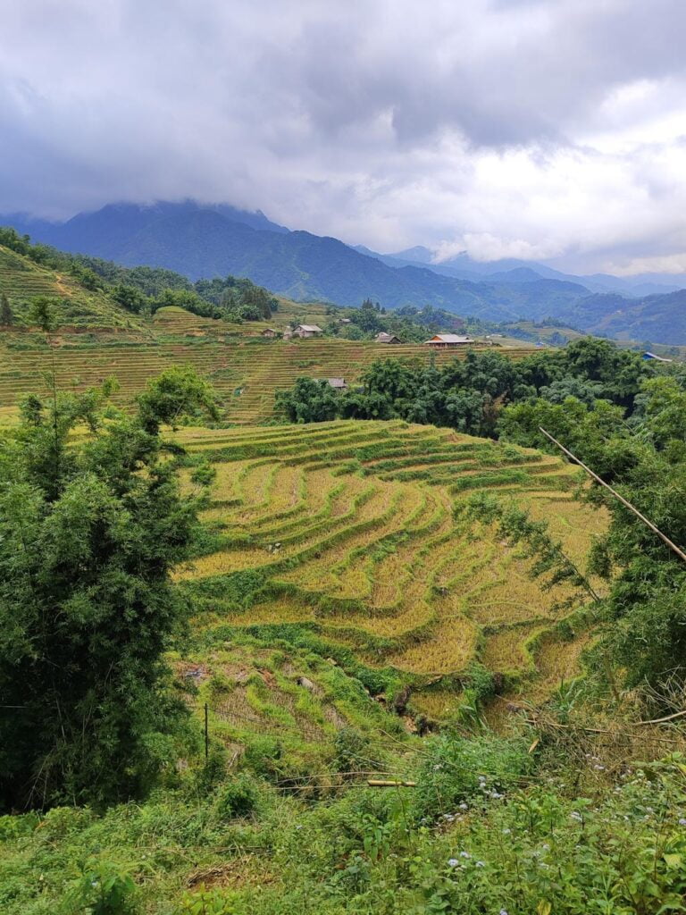 Vietnam en 20 días: Qué hacer en Sa Pa