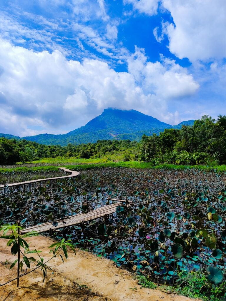 Vietnam en 20 días: Santuario My Son