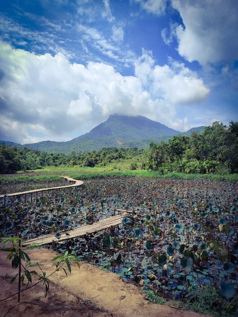 Qué ver en Hoi An: Santuario My Son, Vietnam