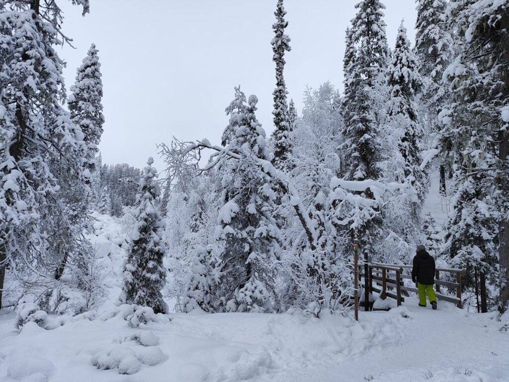 Que ver en Rovaniemi en invierno: Cañón Korouoma y las Cascadas Heladas