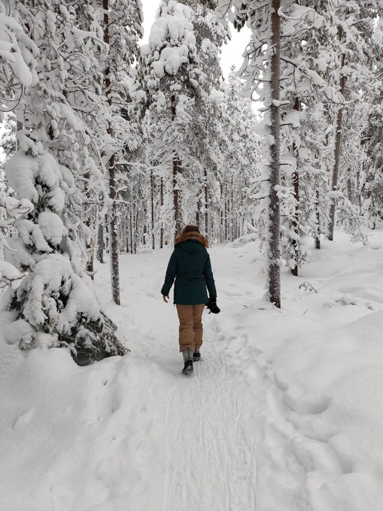 Qué hacer en Rovaniemi: Artic Circle Hiking Area 