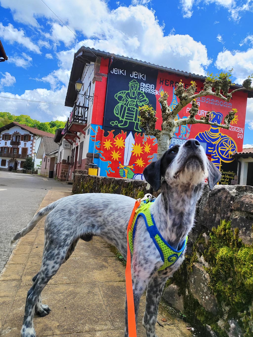 Qué ver en el Valle de Baztán