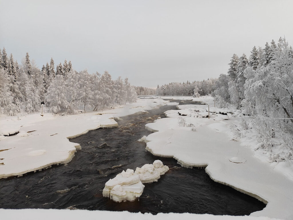 Qué hacer en Rovaniemi